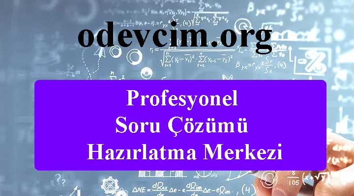 Profesyonel Soru Çözdürme Merkezi